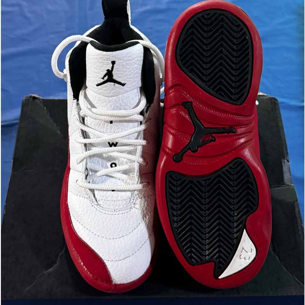 Retro 12 Jordans